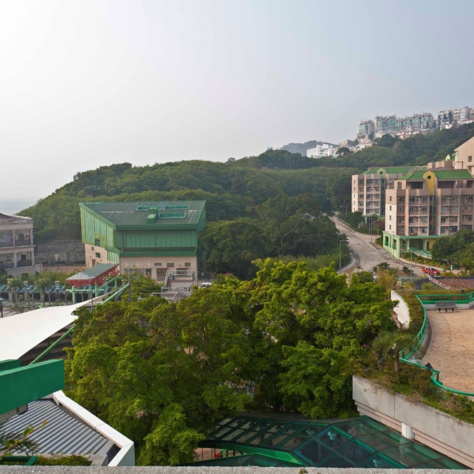 馬坑盆栽及盆景植物園計劃斬樹風波