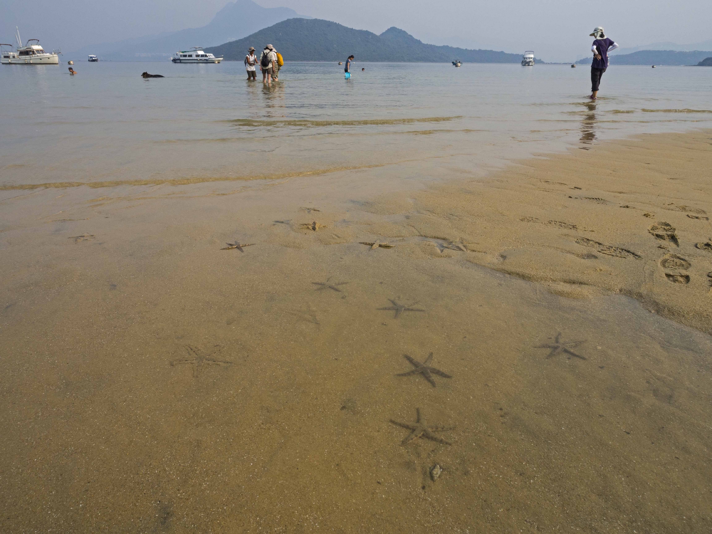 Self Photos / Files - Lung Mei Beach