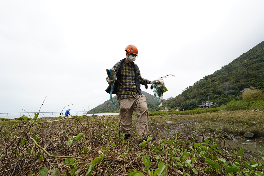 由於紅樹林內有不少垃圾，義工們除了幫忙移除無瓣海桑，也努力淨灘，以改善紅樹林的生長環境。