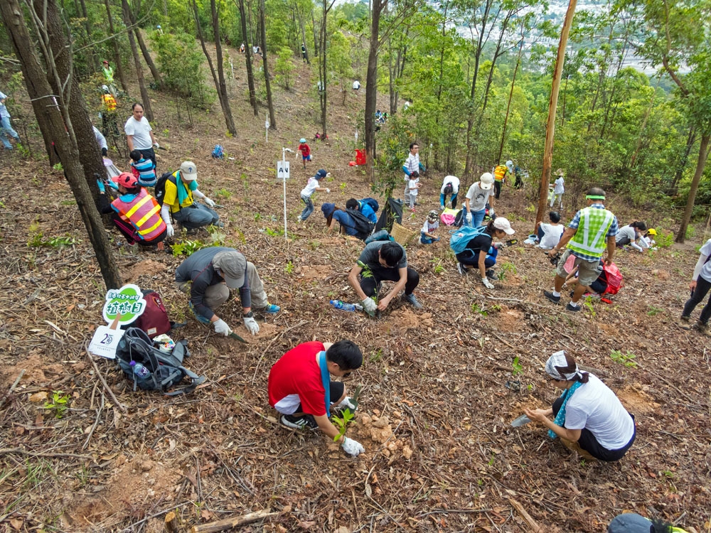 參與植樹、清潔郊野活動